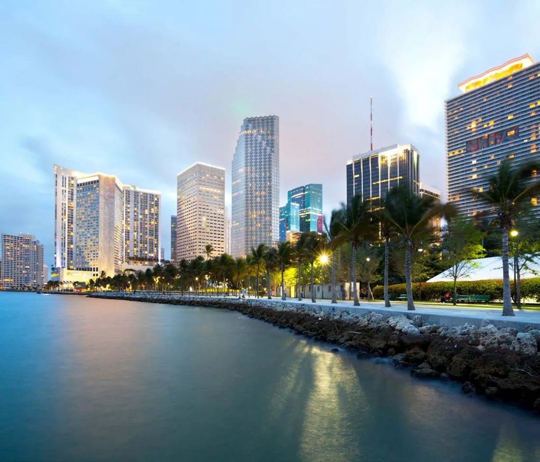 Miami bay skyline